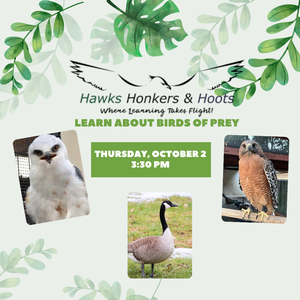 Hawks, Honkers, & Ho